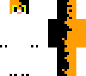 calico cat