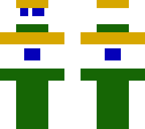indian flag/indian flag person