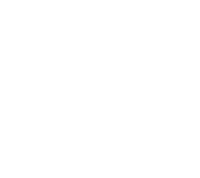 stick