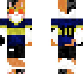 mi skin bostera