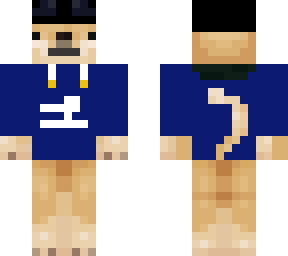 odins skin