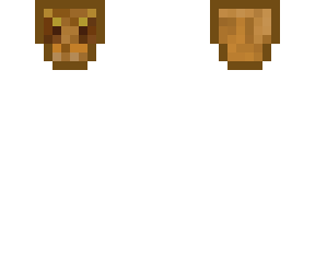profile skin