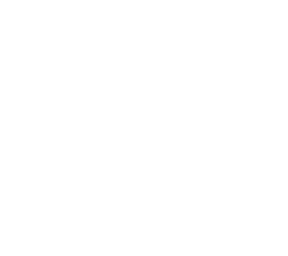block skeleton