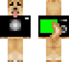 camera dog