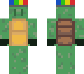 turtle kid