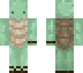main turtle fixed