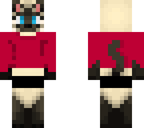 sweater siamese cat