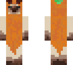 siamese/ragdoll carrot cat