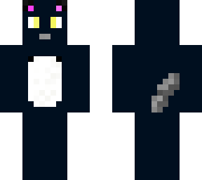 my cat