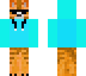 ginger cat in hoodie whith shades