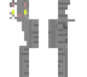 white and gary cat