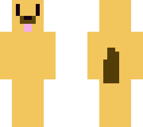 cute labrador