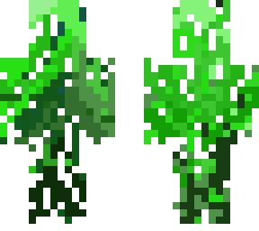 vines plant green