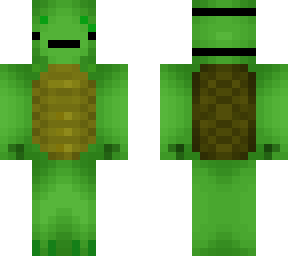 turtle