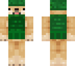 jedrek 123 dog