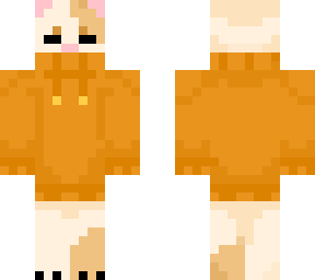 sweater cat
