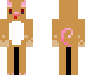 zanes skin