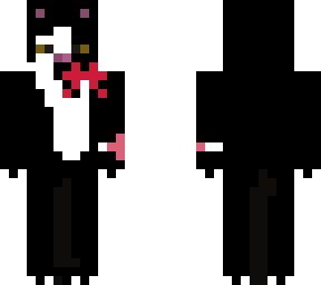 cat at a marry