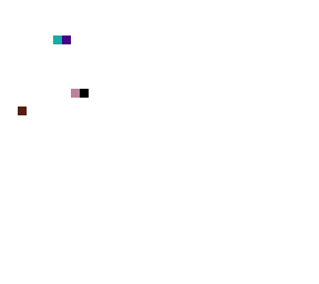 community project