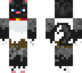average black/gray/white cat (drmeow)