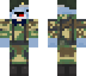 soldier dolphin