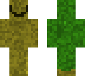 turtle my third skin