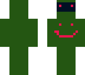 ninja skin