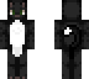 black cat with a white tummy (request)
