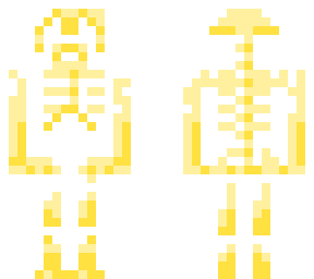 esqueleto