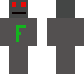 fly guy