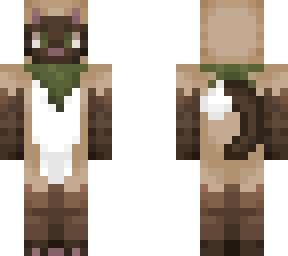 siamese cat