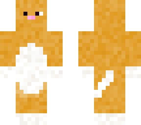 ginger cat