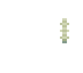 back spine
