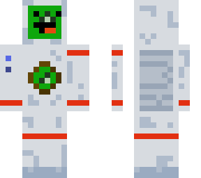 kiwi astronaut