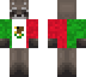 mexican racoon