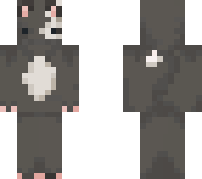 Black cat | Minecraft Skin