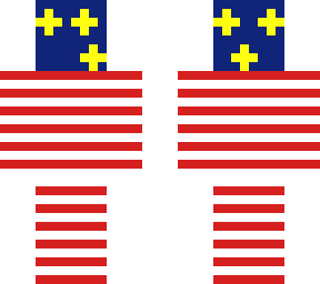 usa skin