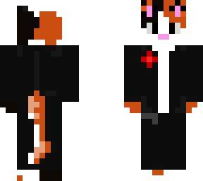 tuxedo cat