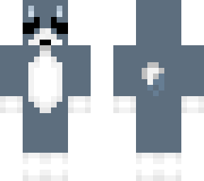 funqsi cat