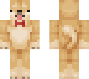 anton the doggo