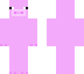 pig