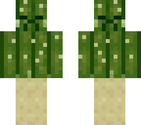 cactussaaa