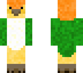 caique parrot white capped