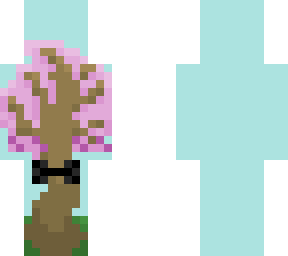 blushing tree