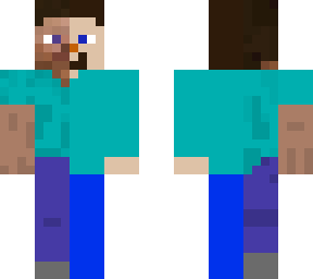 half steve half lego steve