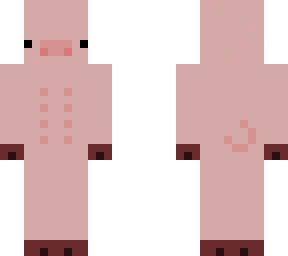 pig