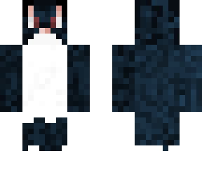 black and white cat