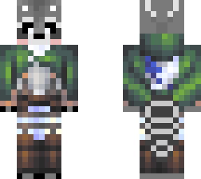 raccoon