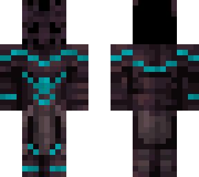 vagus v2