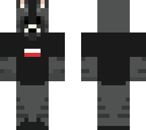 racoon